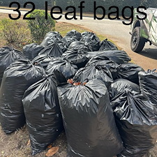 Leaf-Cleanup-Project-Myrtle-Beach-SC 5